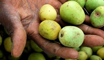 PICTURES: 2024 Marula (Buganu) Festival at Buhleni Royal Residence